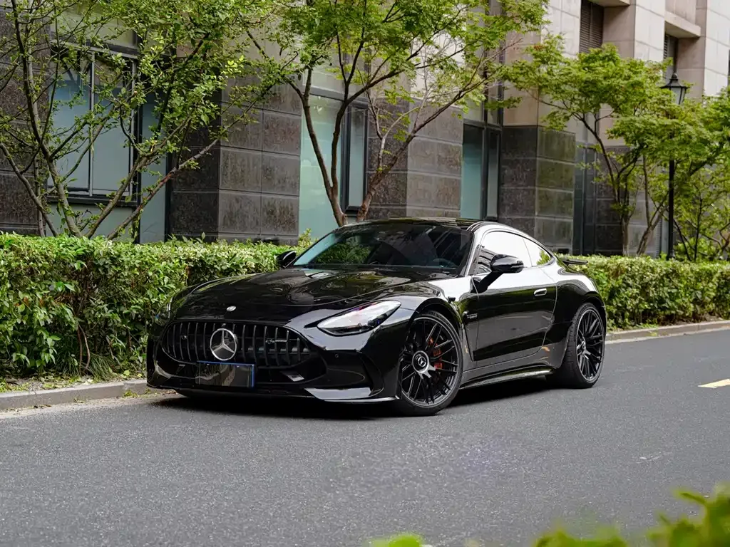 Mercedes-Benz AMG GT New Energy — фото 1
