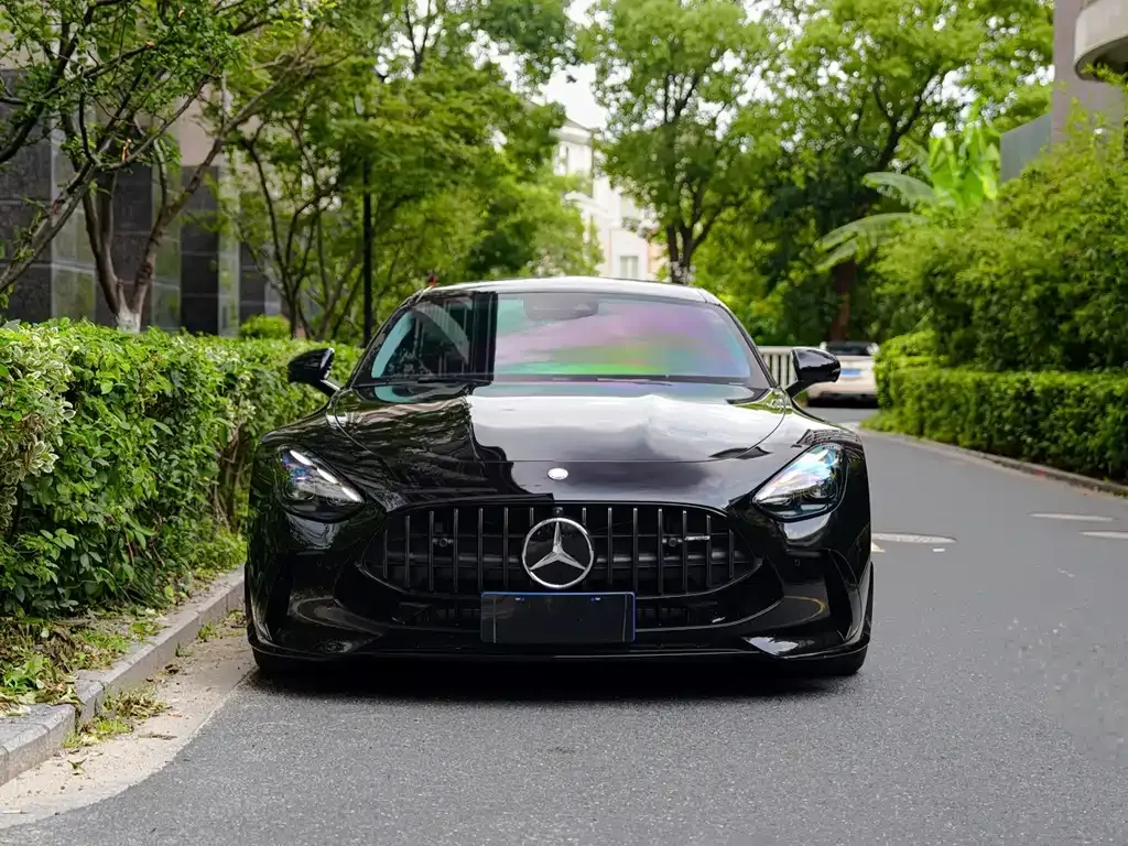 Mercedes-Benz AMG GT New Energy — фото 10