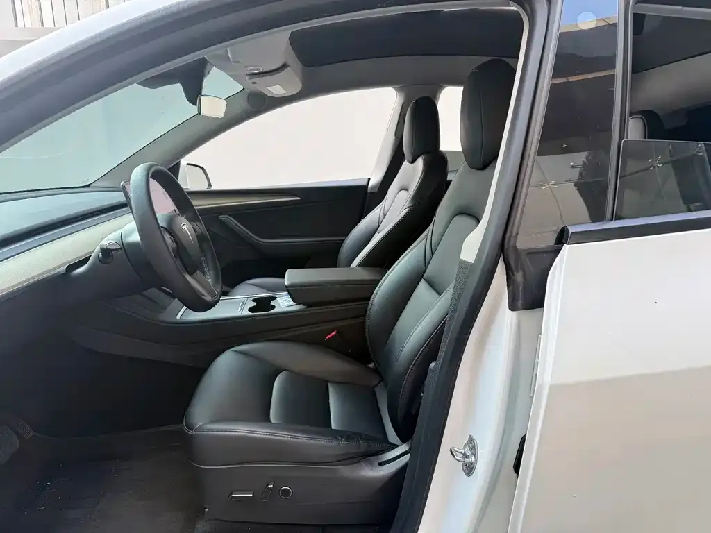 Tesla Model Y — фото 8