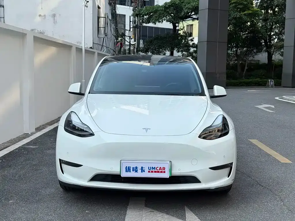 Tesla Model Y — фото 2