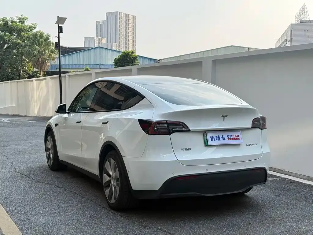 Tesla Model Y — фото 6