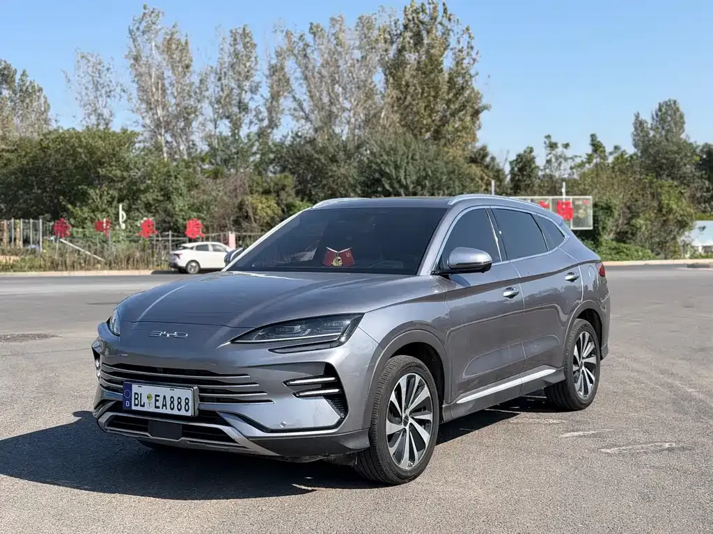 BYD PLUS New Energy — фото 1