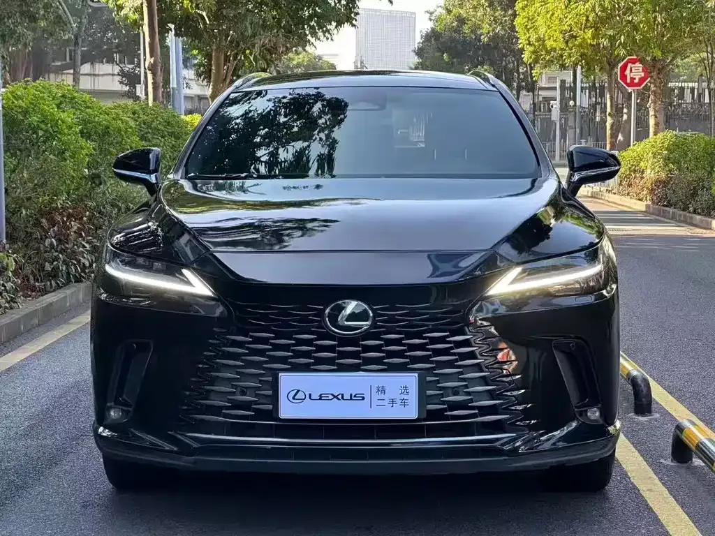 Lexus RX — фото 4