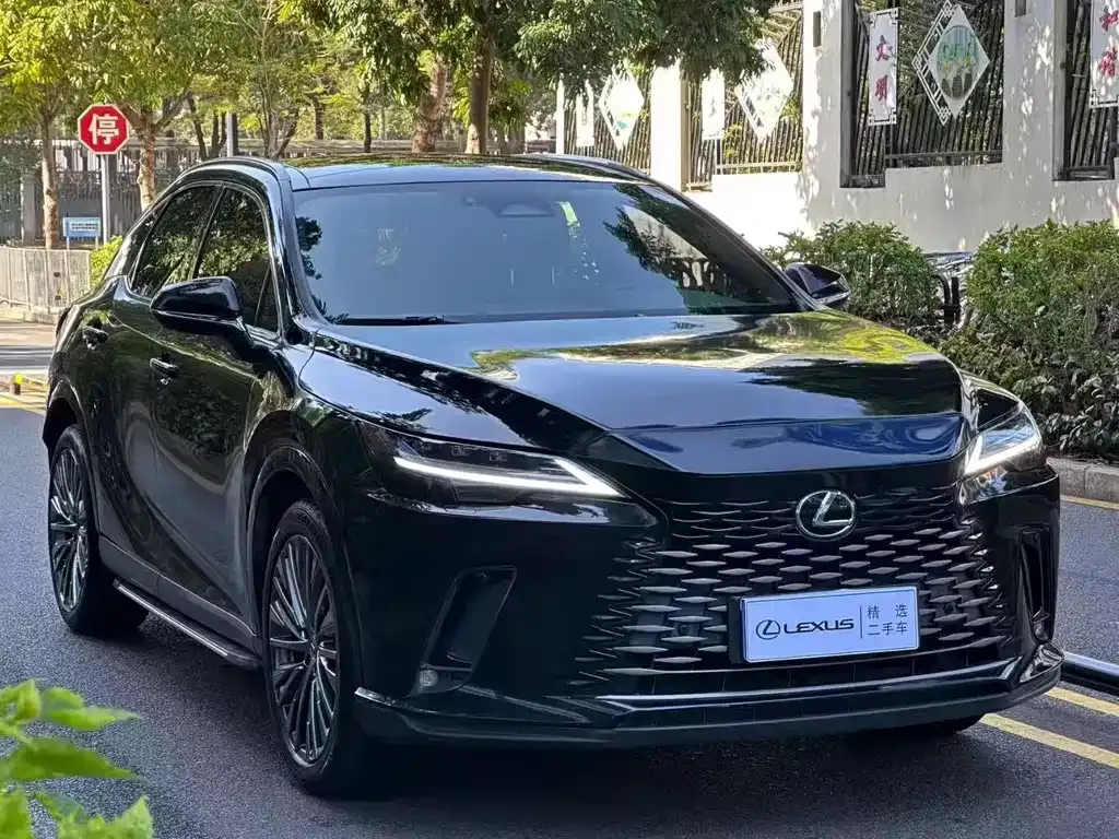 Lexus RX — фото 5