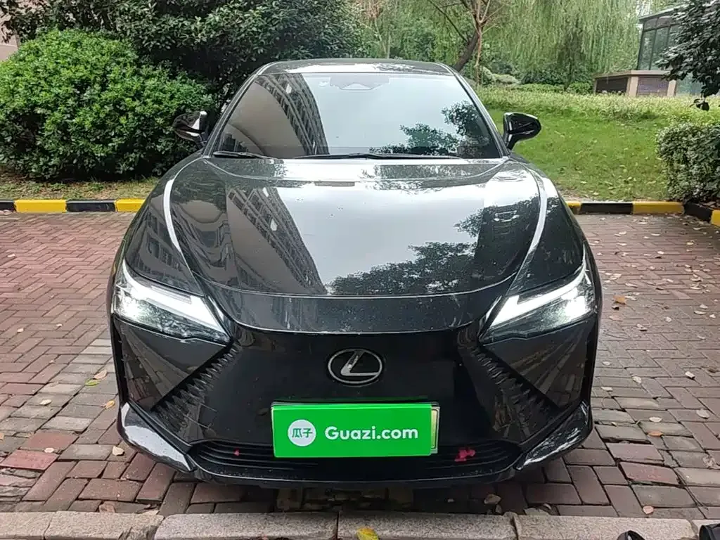 Lexus RZ — фото 9