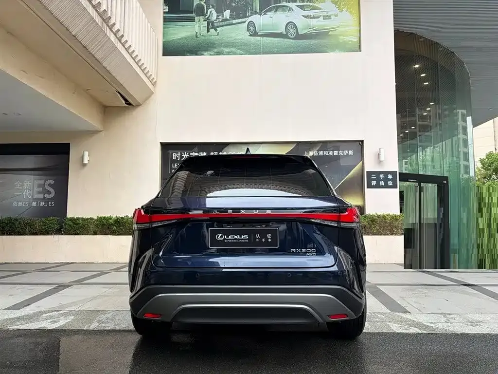 Lexus RX — фото 5