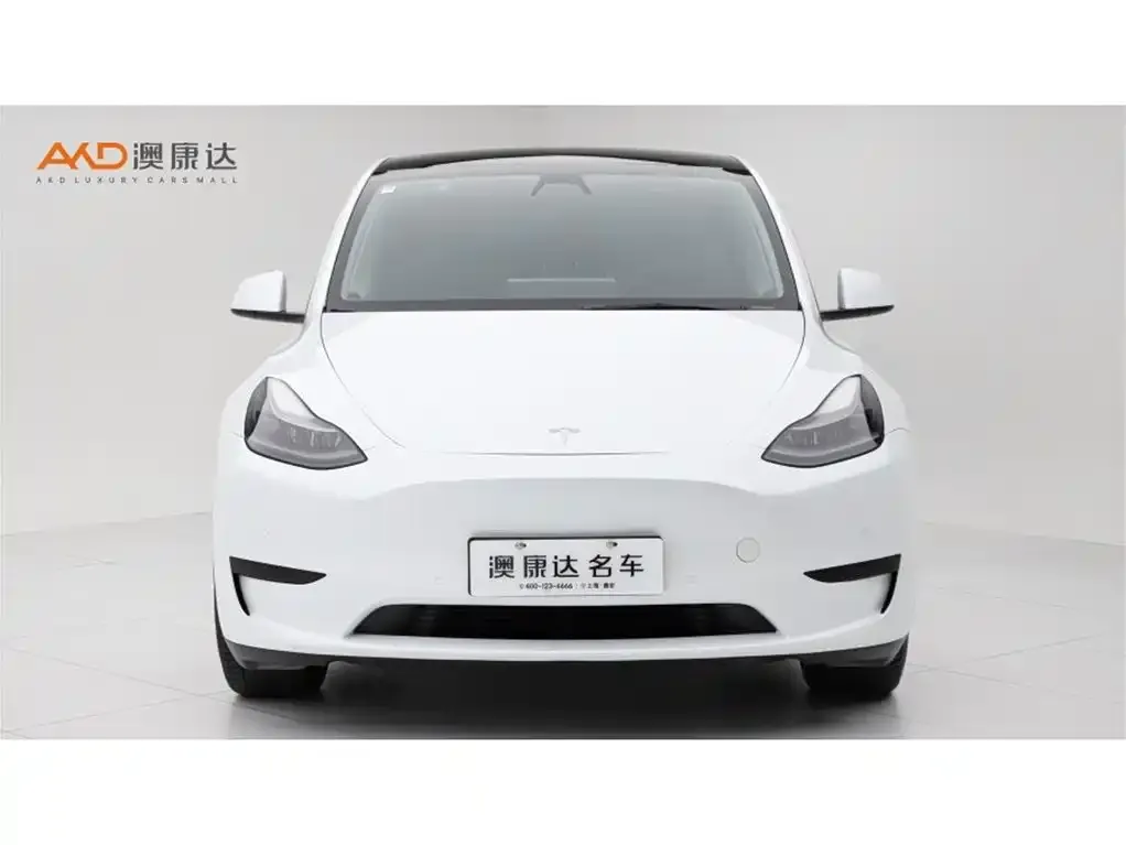 Tesla Model Y — фото 5