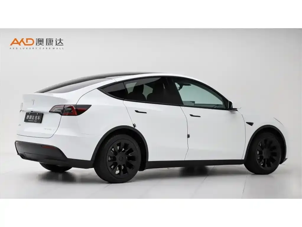 Tesla Model Y — фото 2