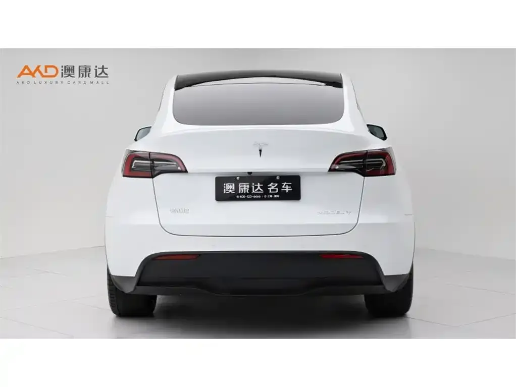 Tesla Model Y — фото 6