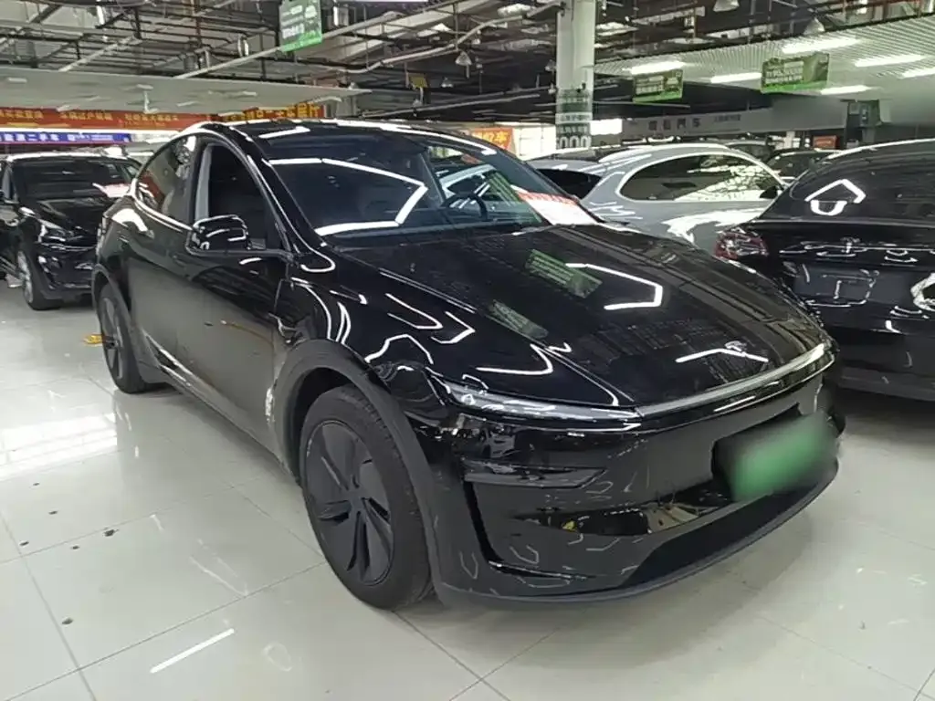 Tesla Model Y — фото 10