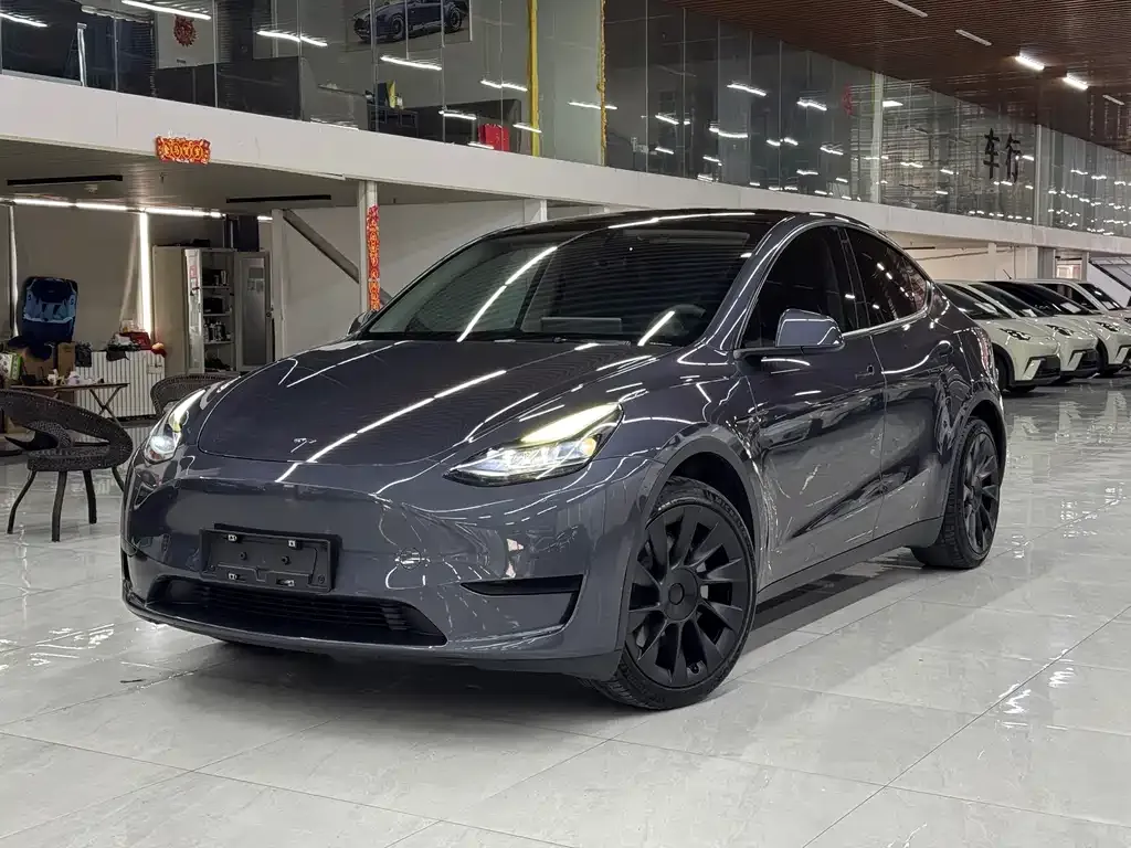Tesla Model Y — фото 1