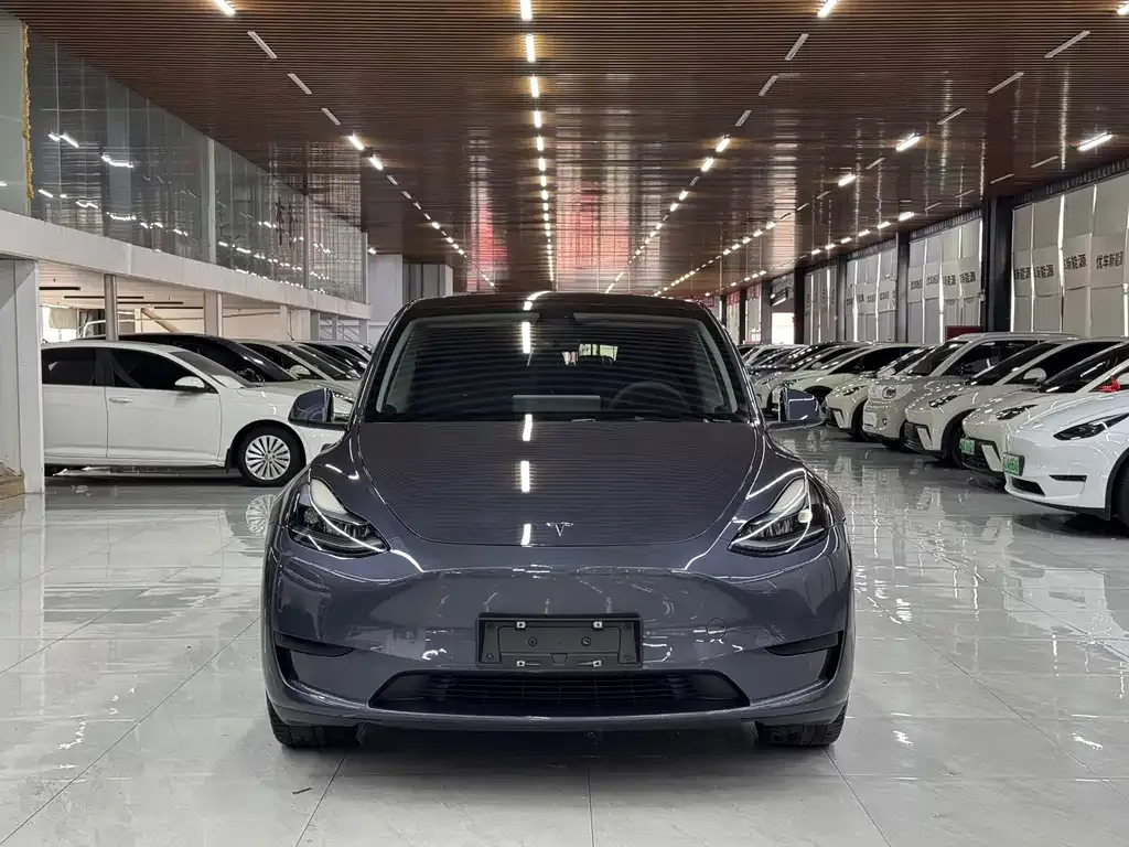 Tesla Model Y — фото 5