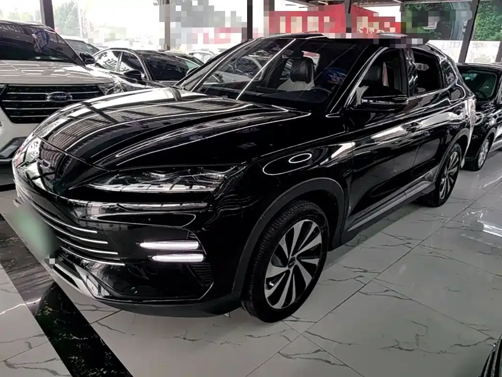 BYD PLUS New Energy — фото 1