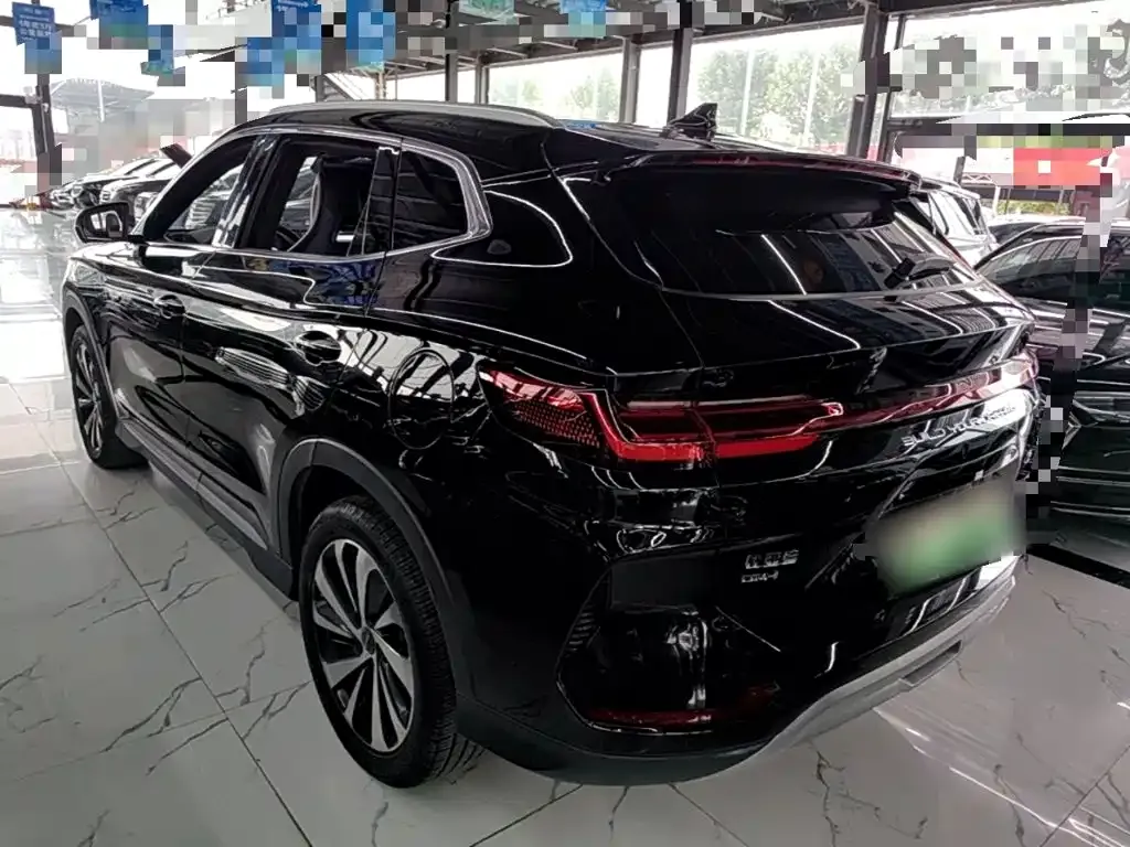 BYD PLUS New Energy — фото 9