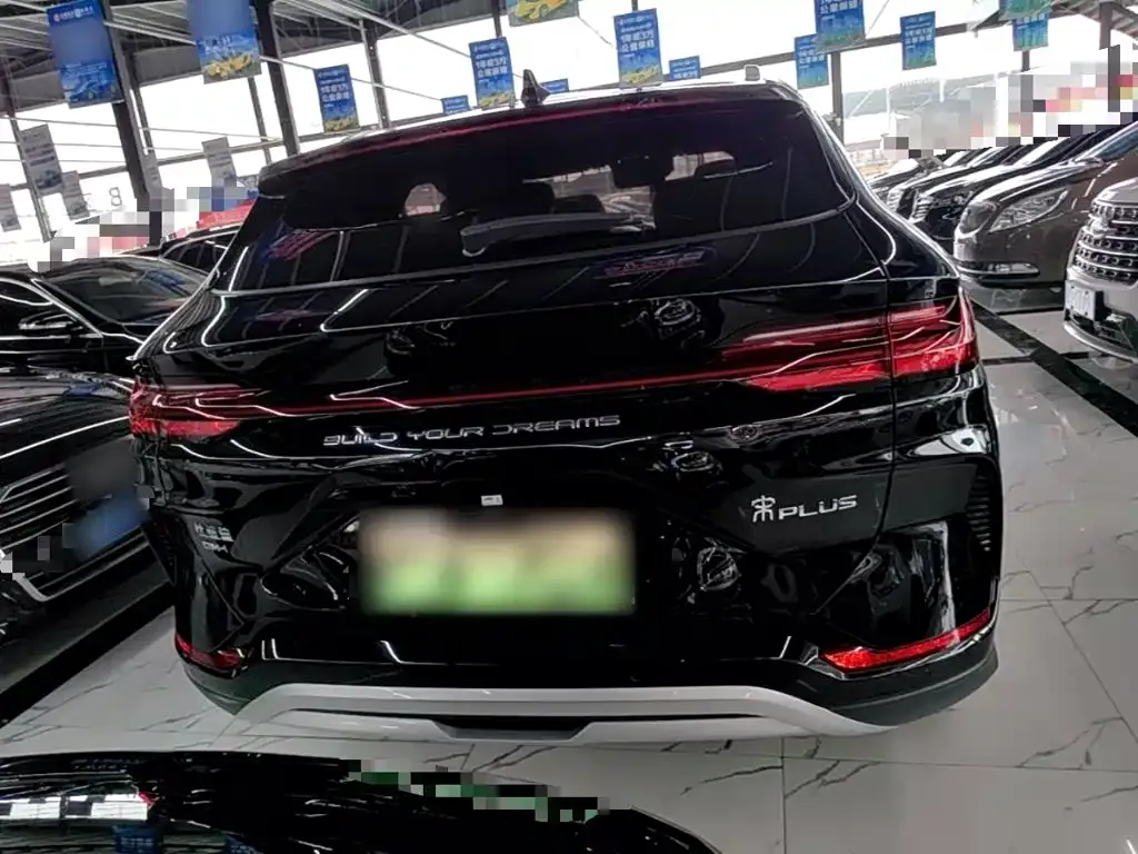 BYD PLUS New Energy — фото 6