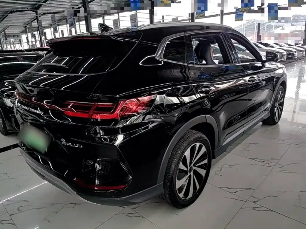 BYD PLUS New Energy — фото 4