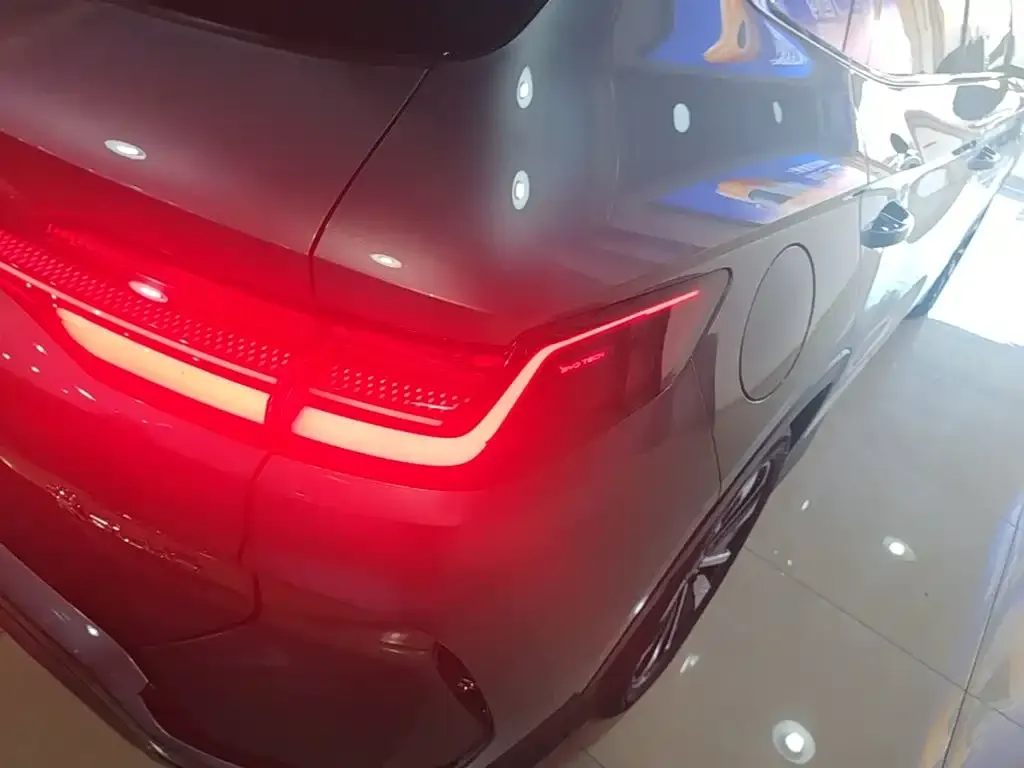 BYD PLUS New Energy — фото 4