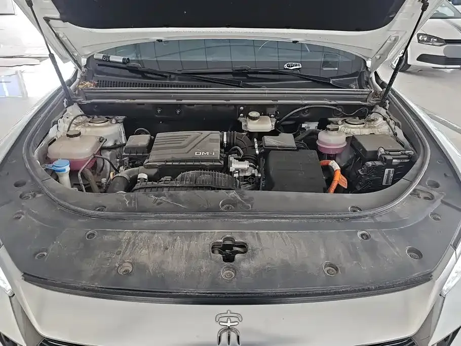 BYD Pro New Energy — фото 10