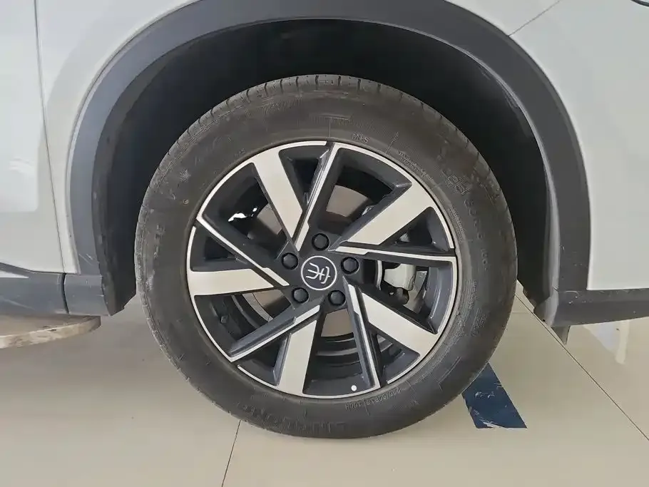 BYD Pro New Energy — фото 2