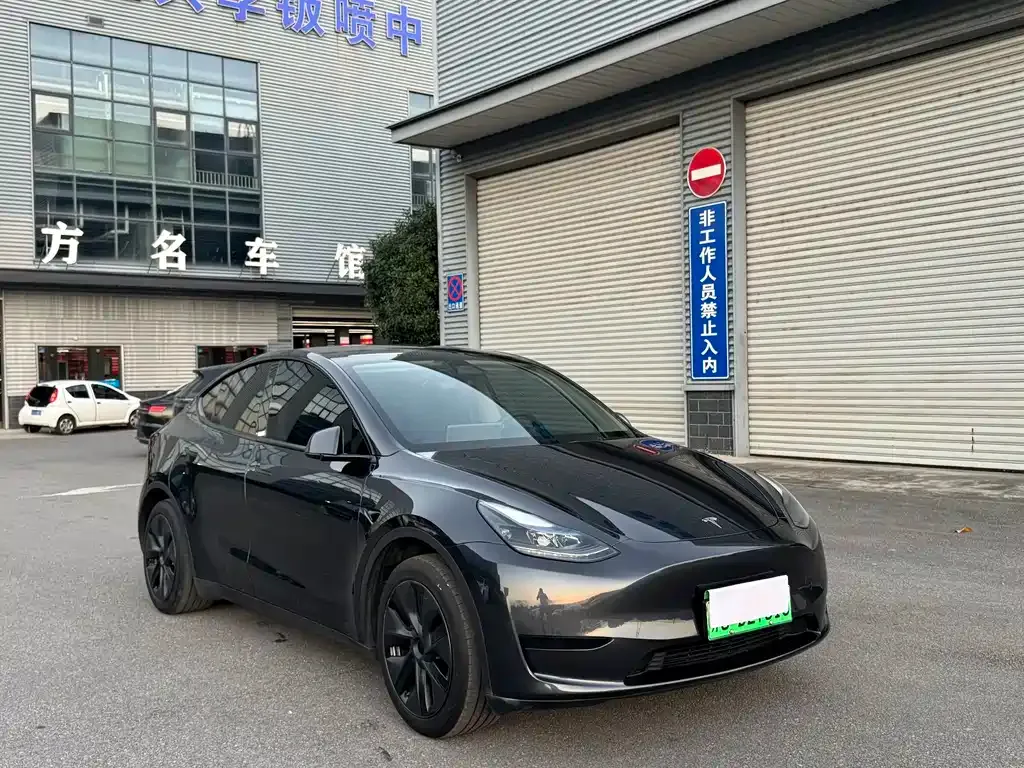 Tesla Model Y — фото 8