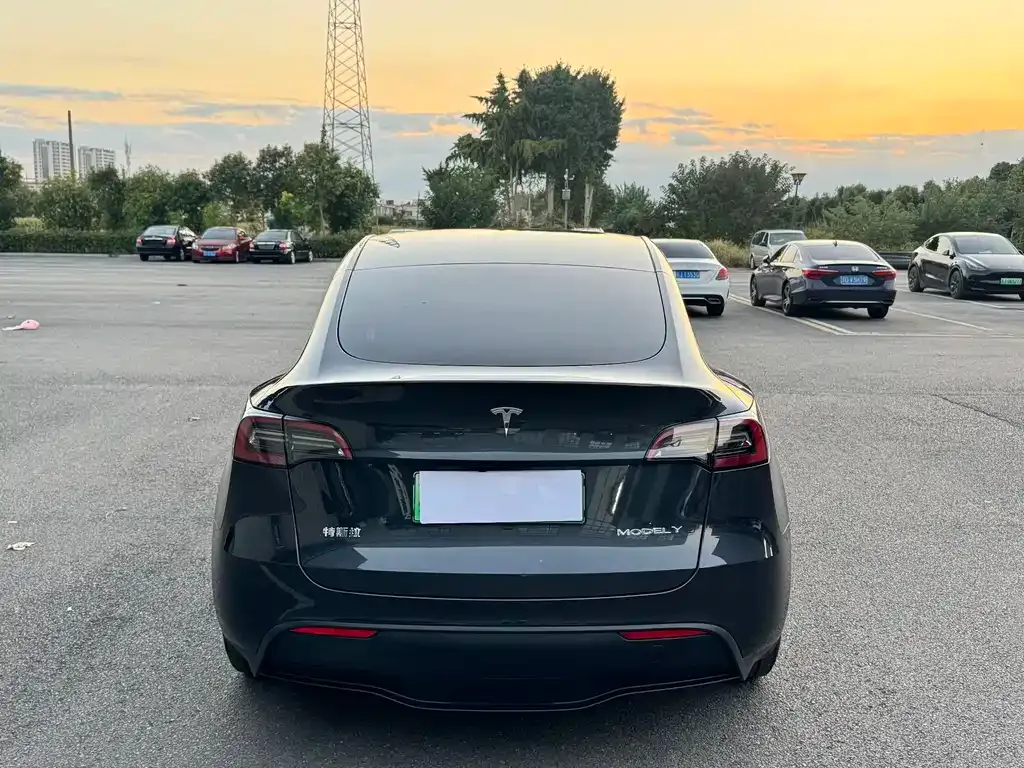 Tesla Model Y — фото 10