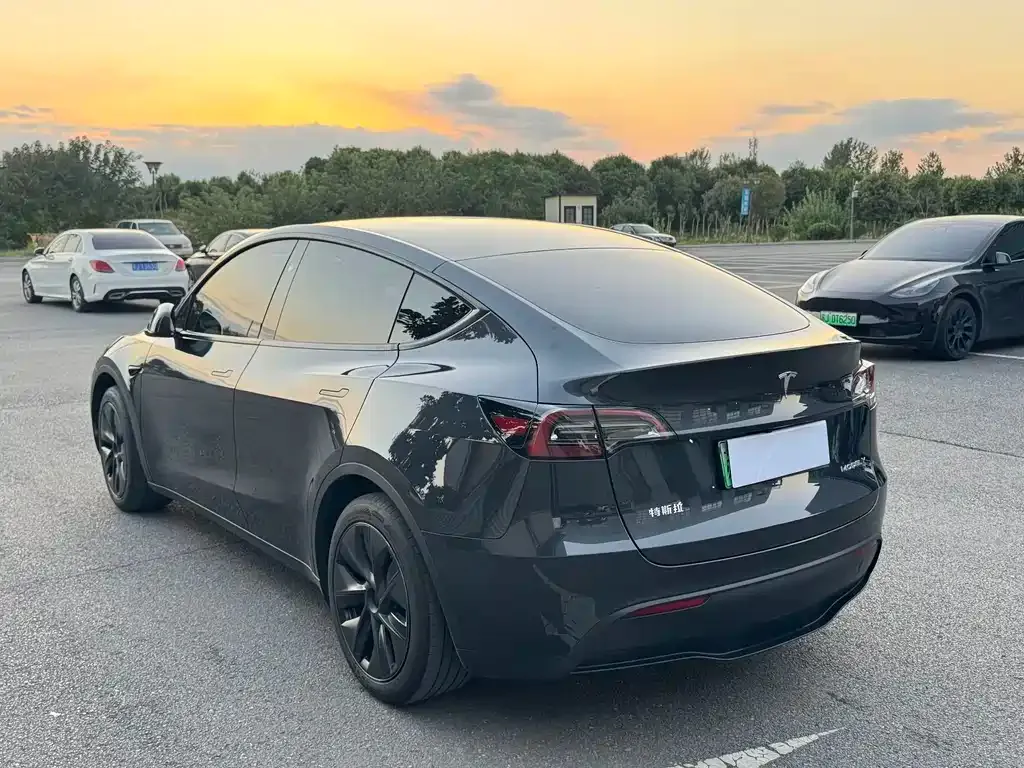 Tesla Model Y — фото 9
