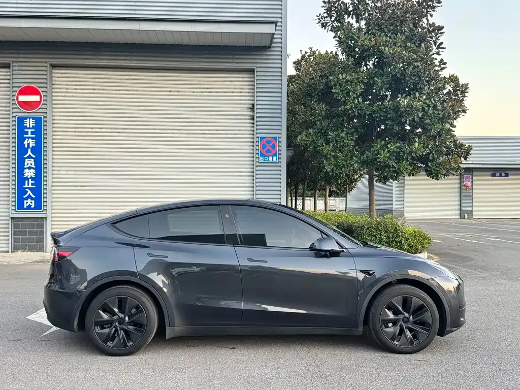 Tesla Model Y — фото 3