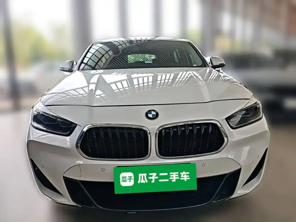 BMW X2 — фото 1