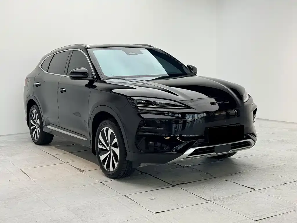 BYD PLUS New Energy — фото 4