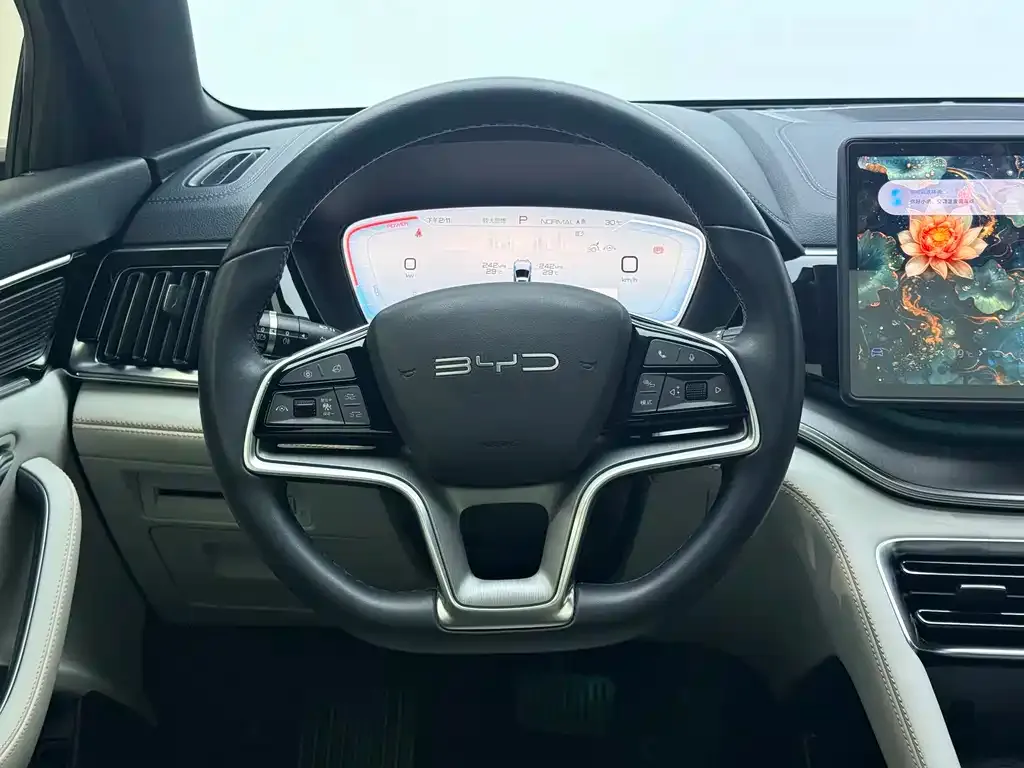 BYD PLUS New Energy — фото 9
