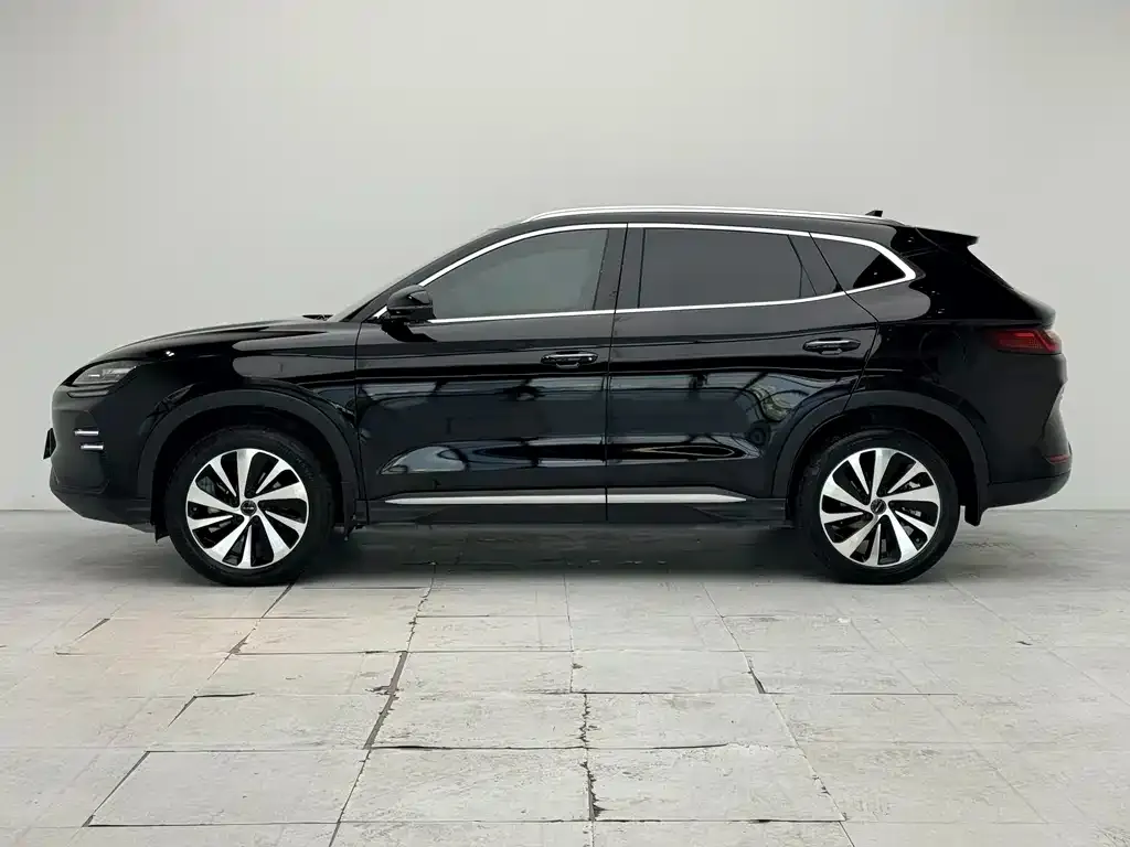 BYD PLUS New Energy — фото 5