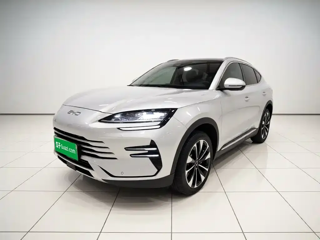 BYD PLUS New Energy — фото 1
