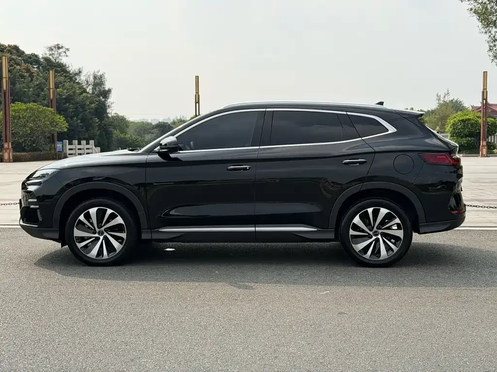 BYD PLUS New Energy — фото 9