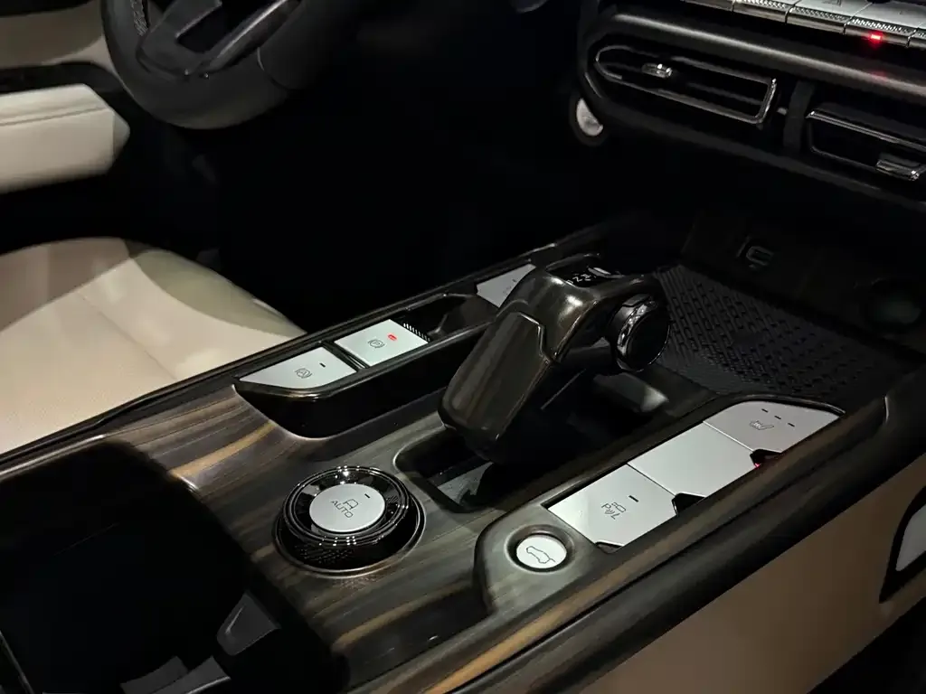 Haval Big Dog PLUS New Energy — фото 9
