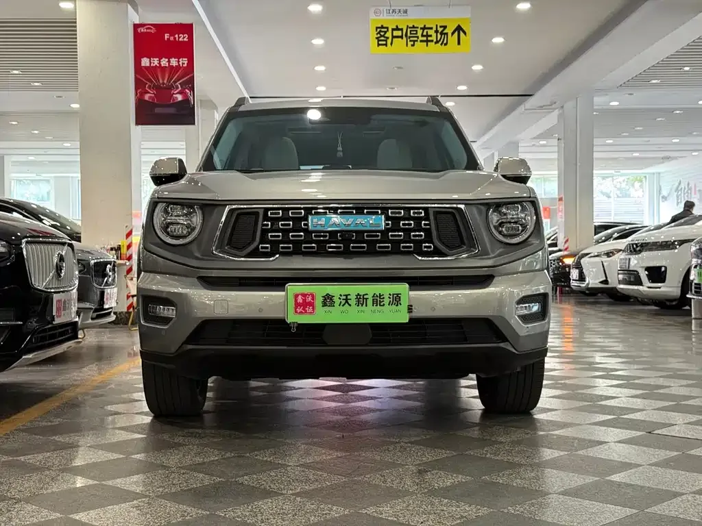 Haval Big Dog PLUS New Energy — фото 7