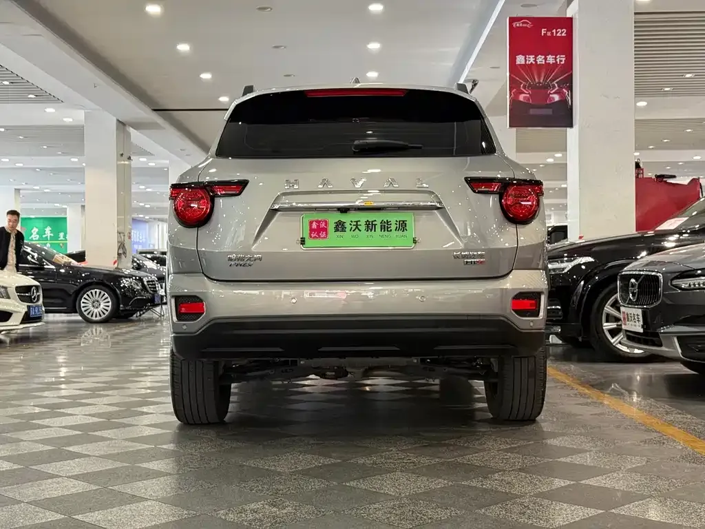 Haval Big Dog PLUS New Energy — фото 6