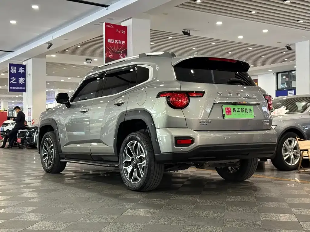 Haval Big Dog PLUS New Energy — фото 2