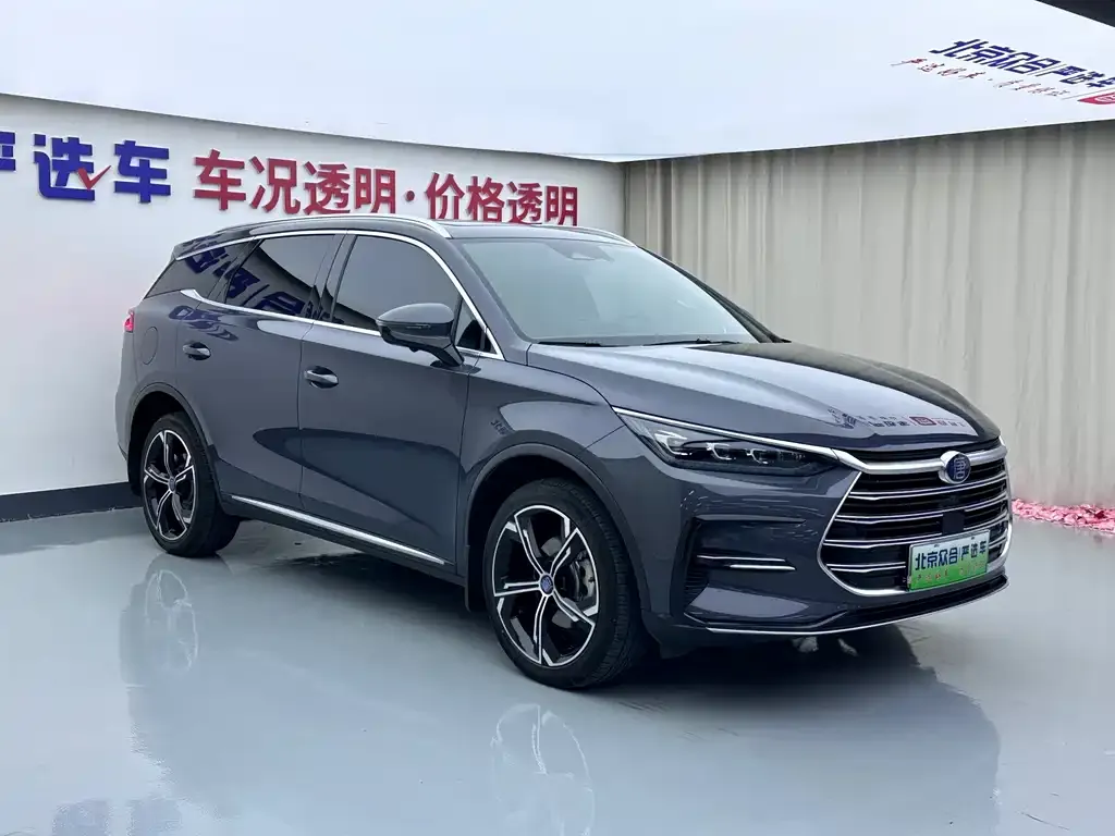 BYD Tang New Energy — фото 3
