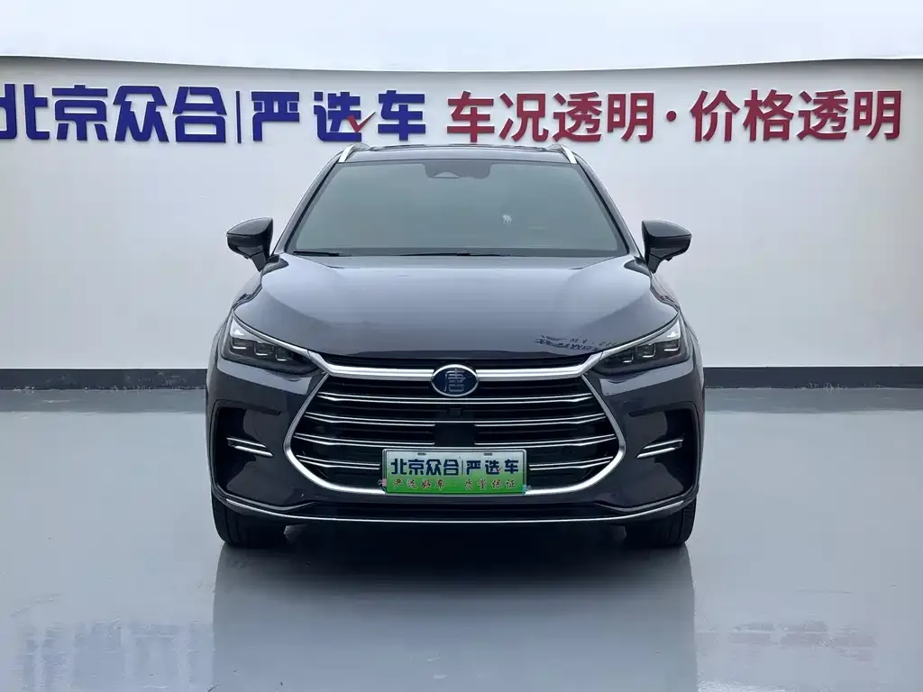 BYD Tang New Energy — фото 2