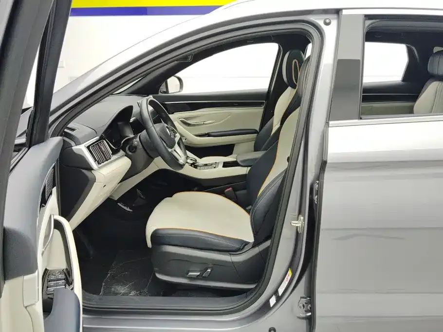 BYD PLUS New Energy — фото 10