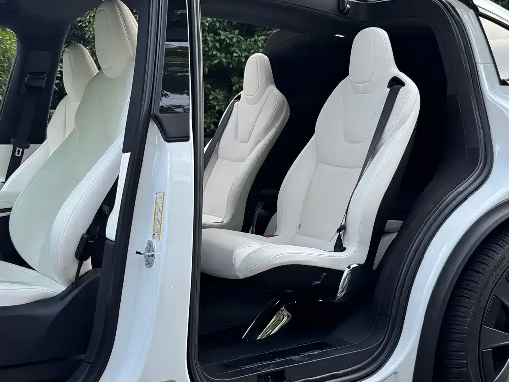 Tesla Model X — фото 4