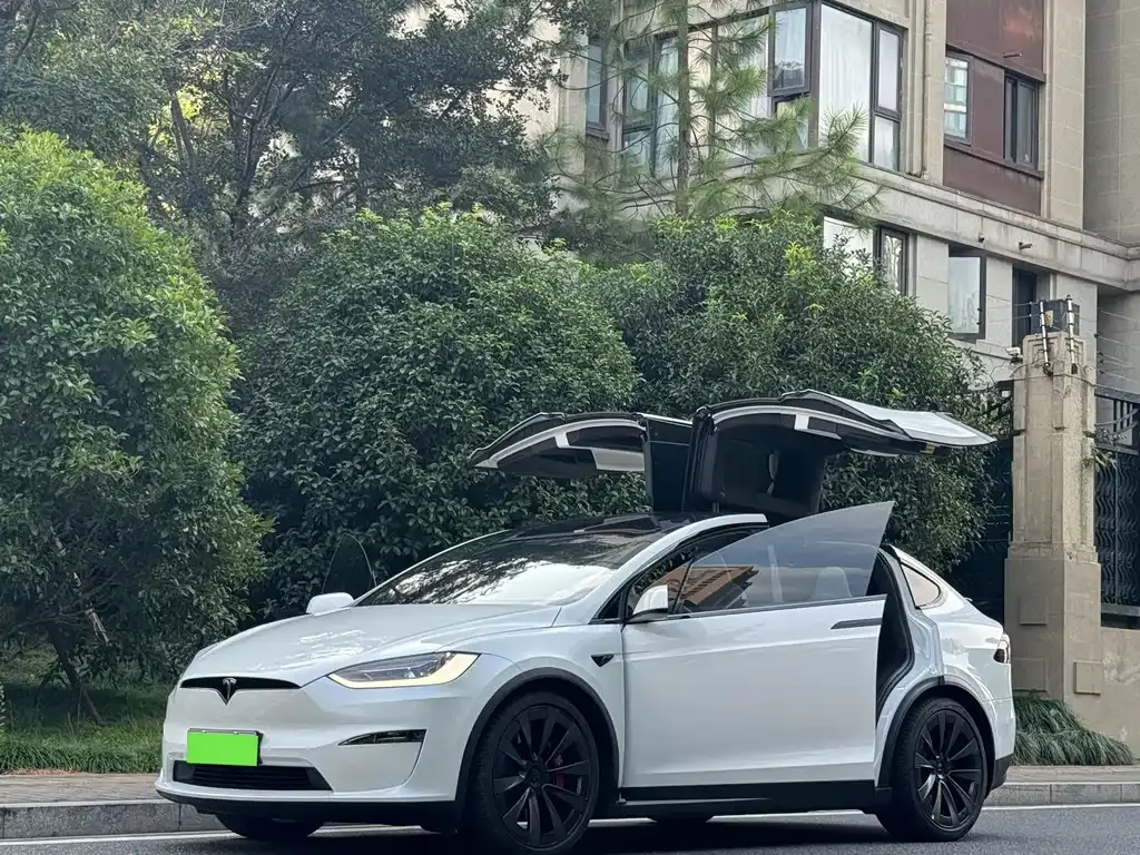 Tesla Model X — фото 10