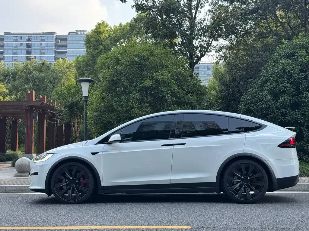 Tesla Model X — фото 6