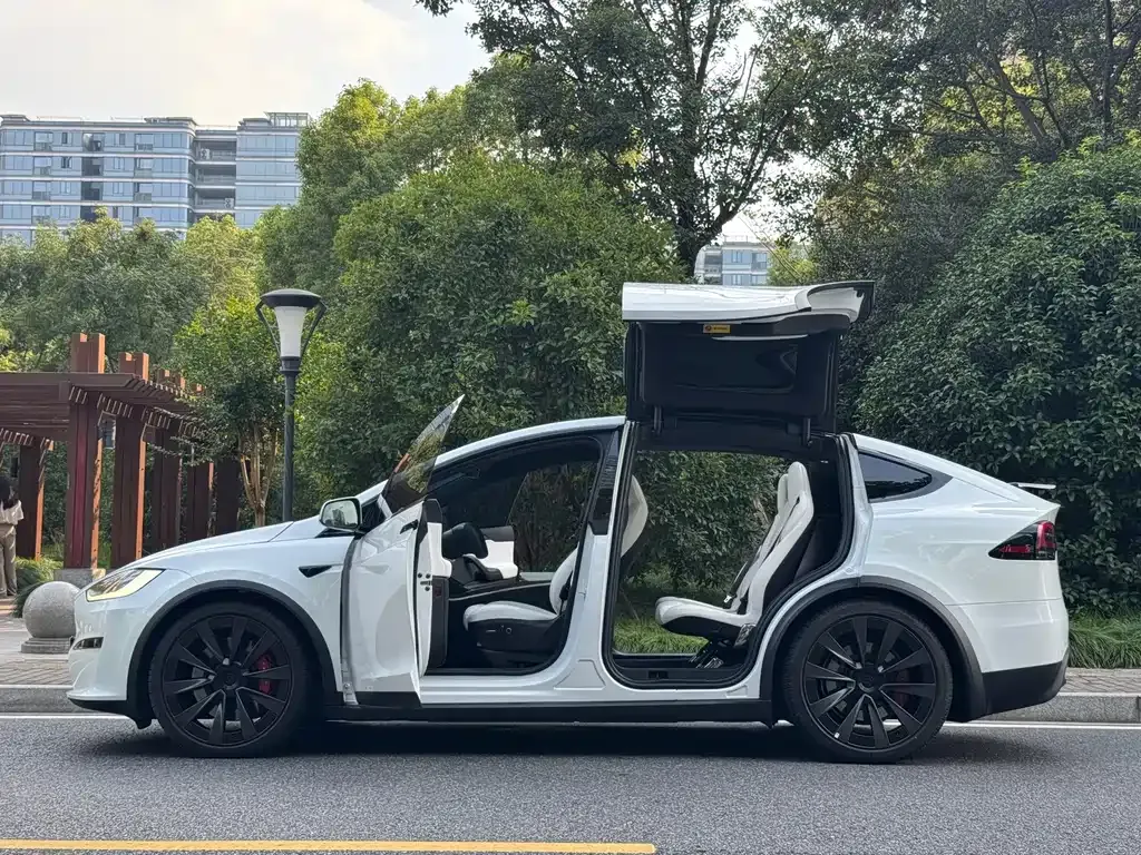 Tesla Model X — фото 9