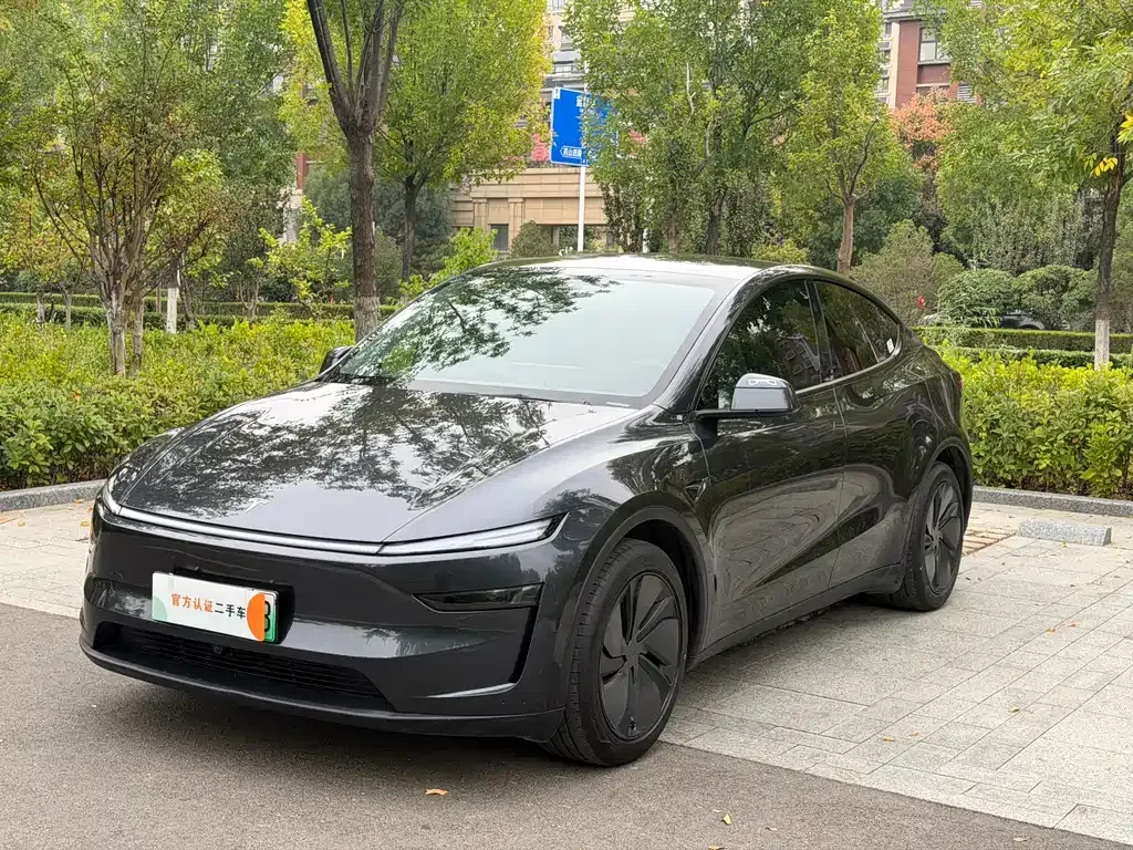 Tesla Model Y — фото 1