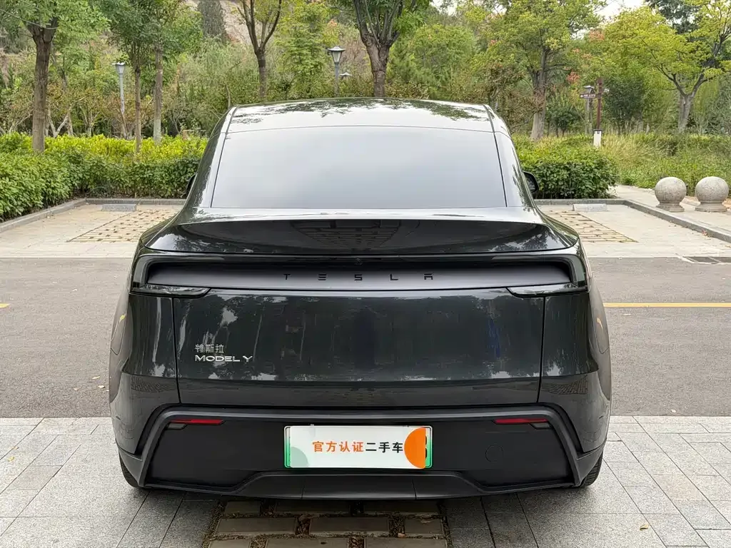Tesla Model Y — фото 8