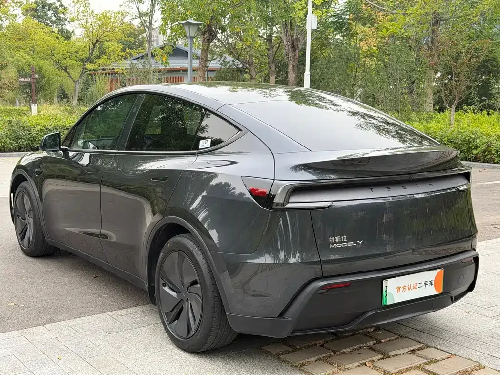 Tesla Model Y — фото 3