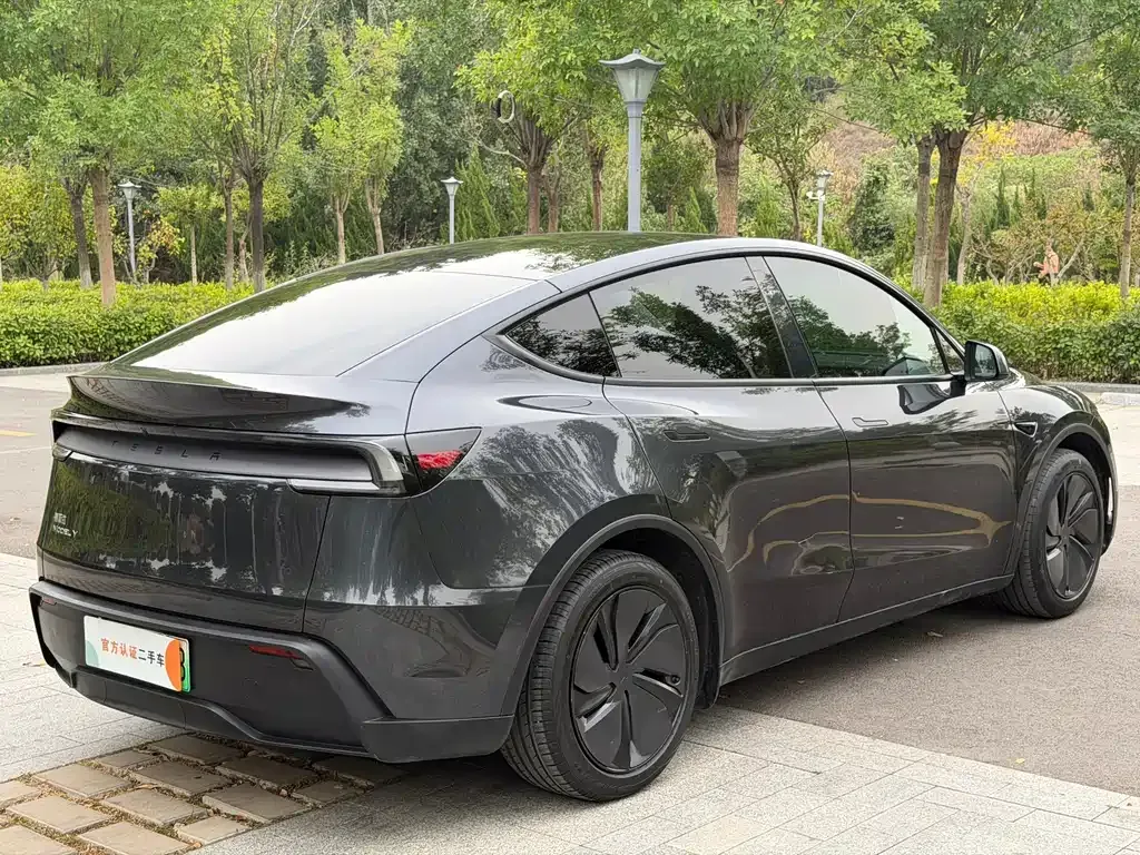 Tesla Model Y — фото 10