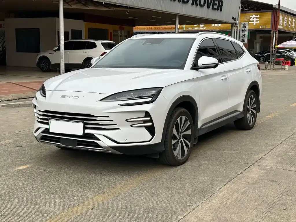 BYD PLUS New Energy — фото 1