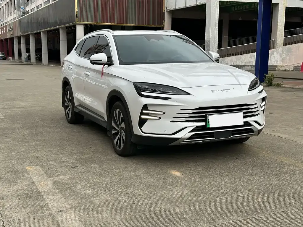 BYD PLUS New Energy — фото 10